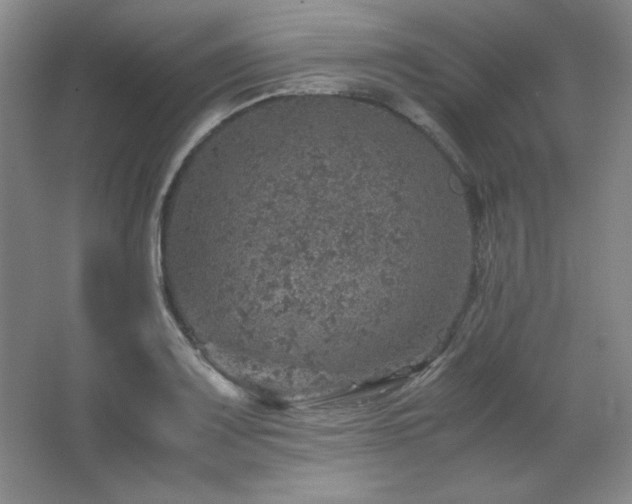 X0000067461083200604071122