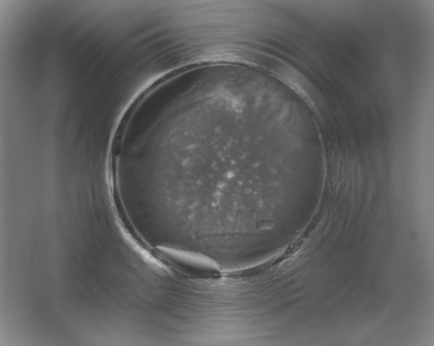 X0000067461084200604071122