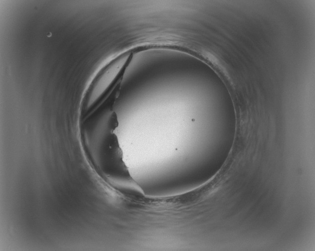 X0000067461085200604071122