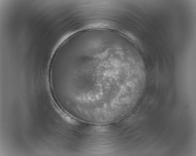 X0000067461086200604071122