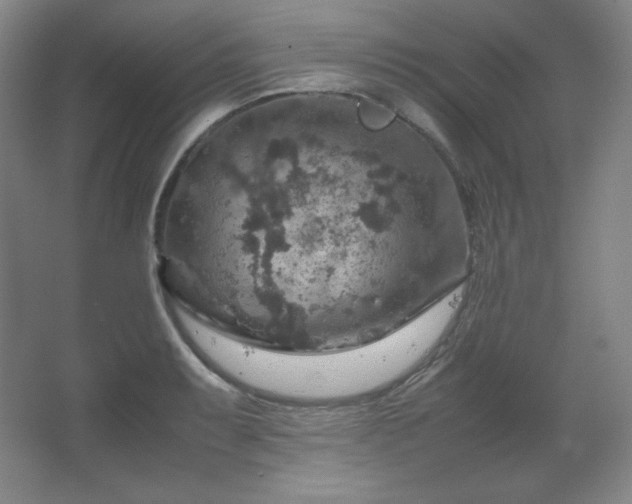 X0000067461087200604071122