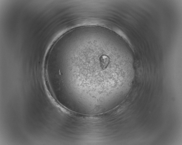 X0000067461088200604071122