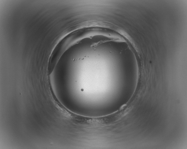 X0000067461089200604071122