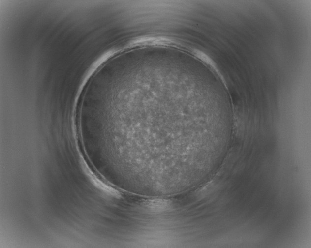 X0000067461090200604071122