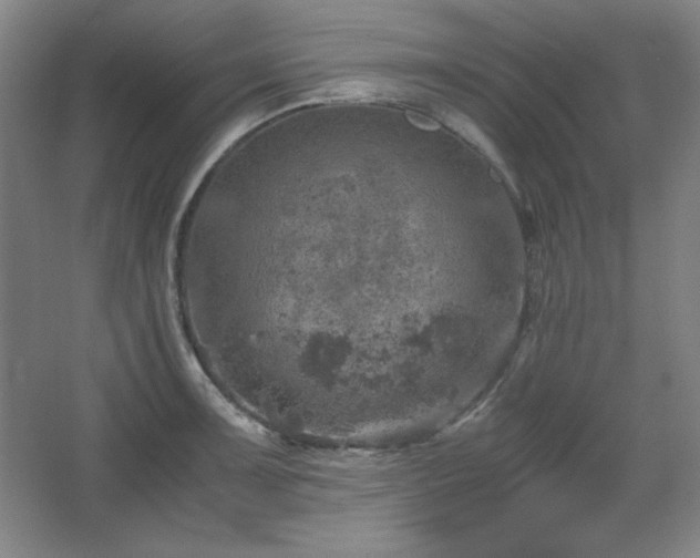 X0000067461091200604071122