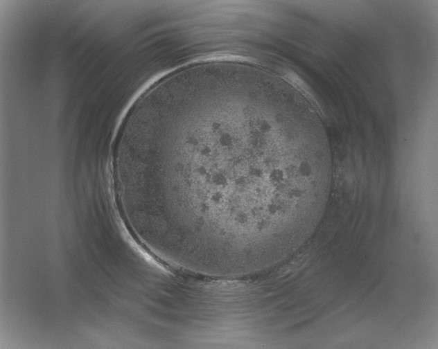 X0000067461092200604071122