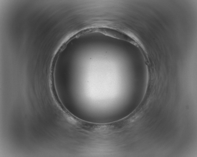 X0000067461093200604071122