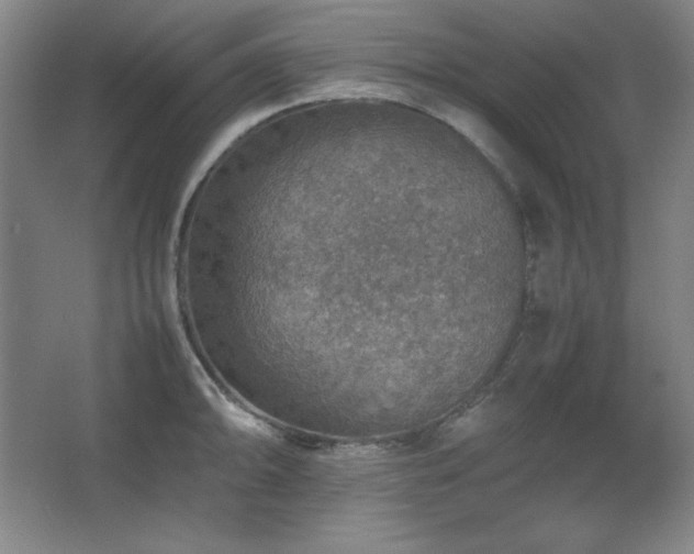 X0000067461094200604071122