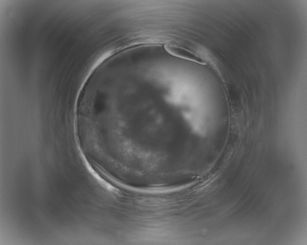 X0000067461095200604071122