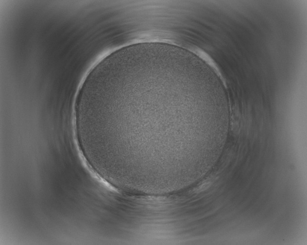 X0000067461096200604071122