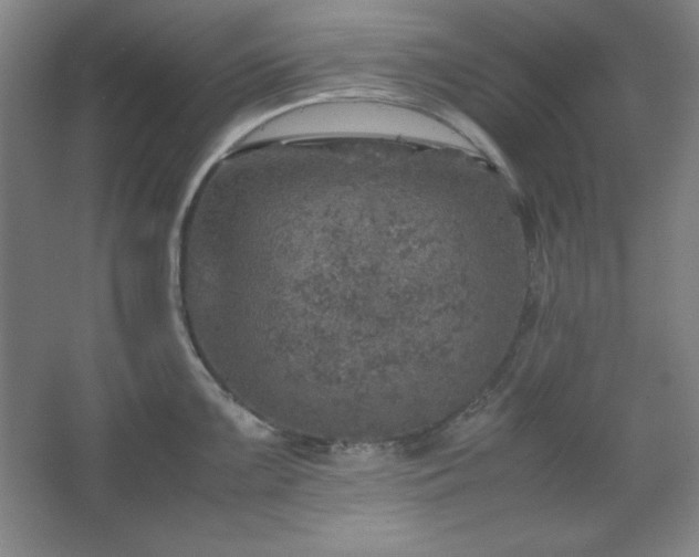 X0000067461099200604071122