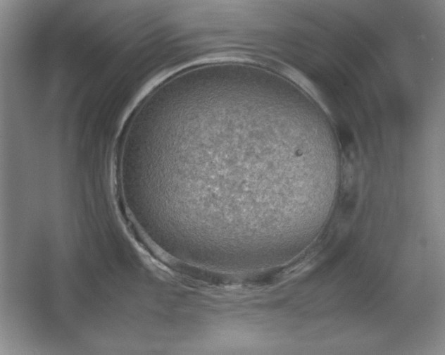 X0000067461101200604071121