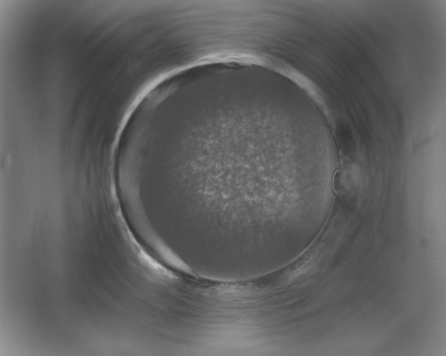 X0000067461102200604071121