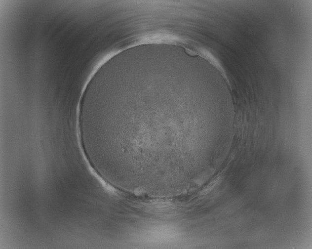 X0000067461103200604071121