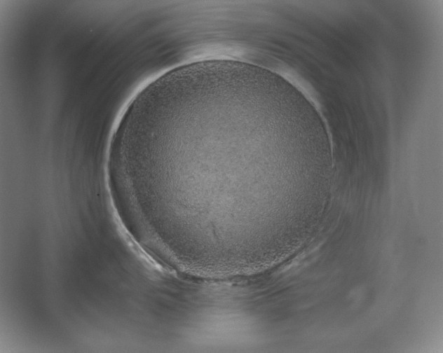 X0000067461104200604071121