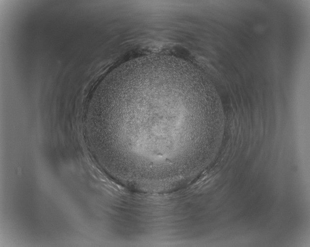 X0000067461105200604071121