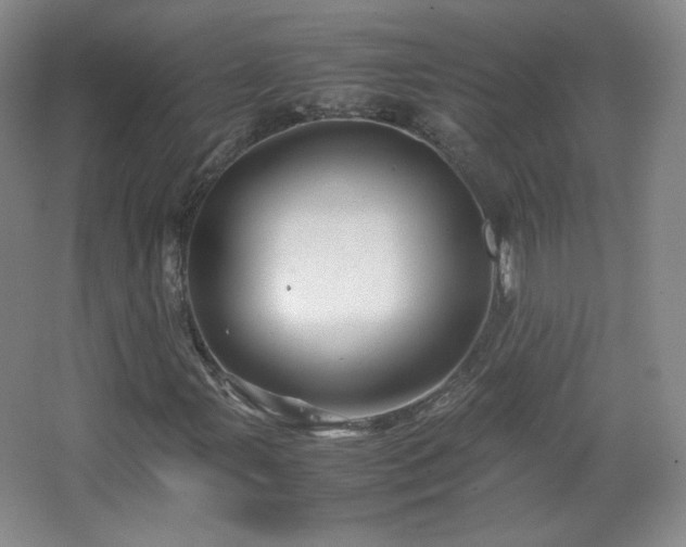 X0000067461107200604071121