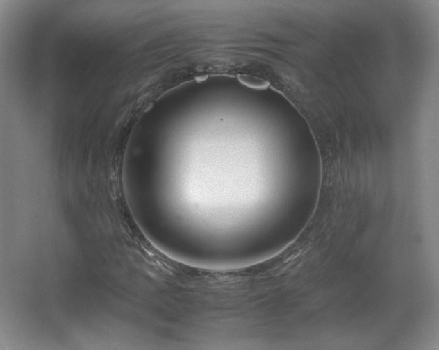 X0000067461109200604071121