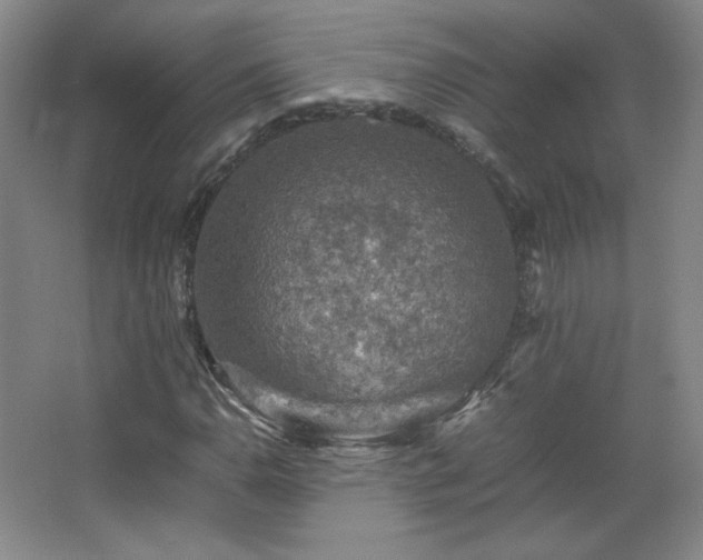 X0000067461110200604071121