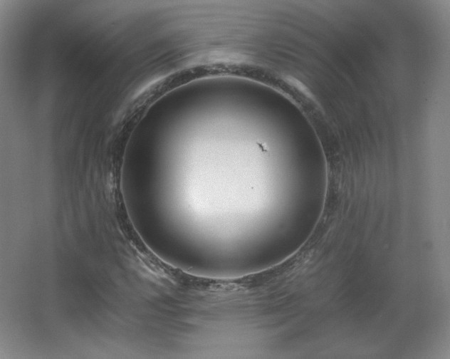 X0000067461112200604071121