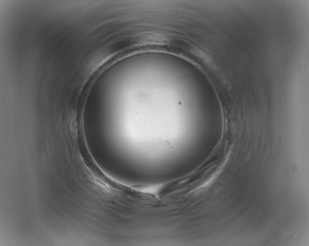 X0000067461113200604071121