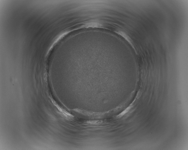 X0000067461115200604071121