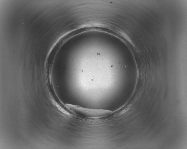 X0000067461116200604071121