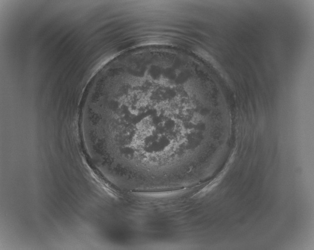 X0000067461121200604071121