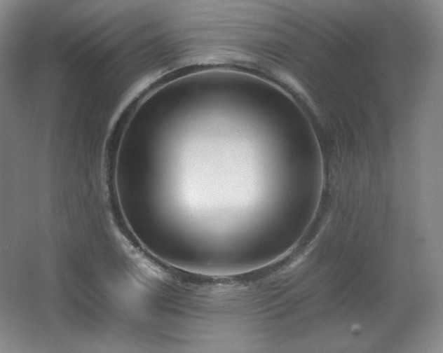 X0000067461122200604071121