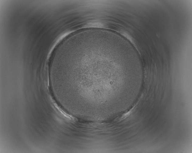 X0000067461123200604071121