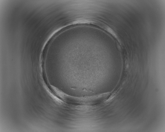 X0000067461124200604071121