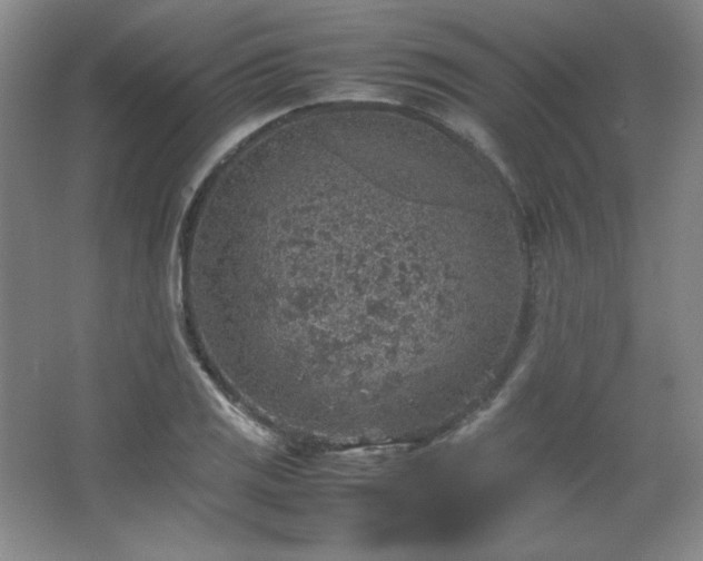 X0000067461125200604071121