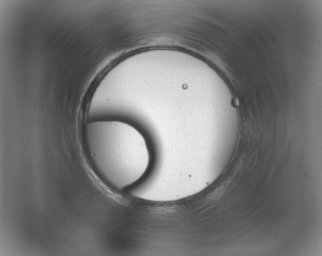 X0000067461126200604071121