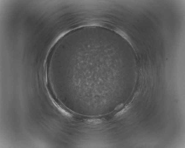 X0000067461127200604071121