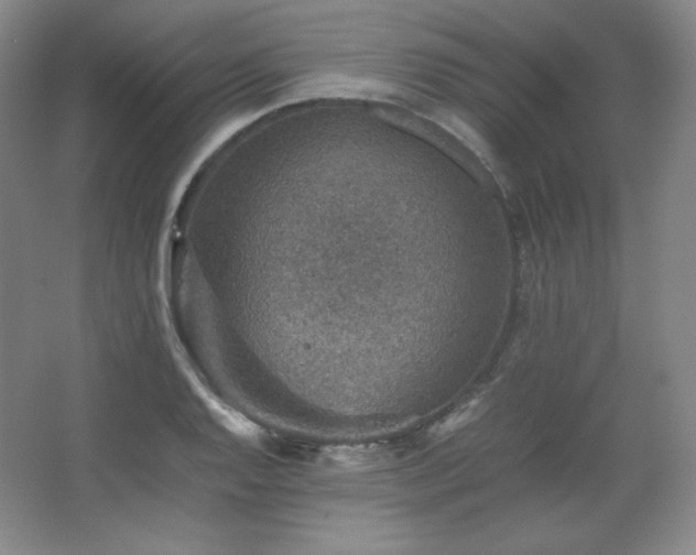 X0000067461128200604071121