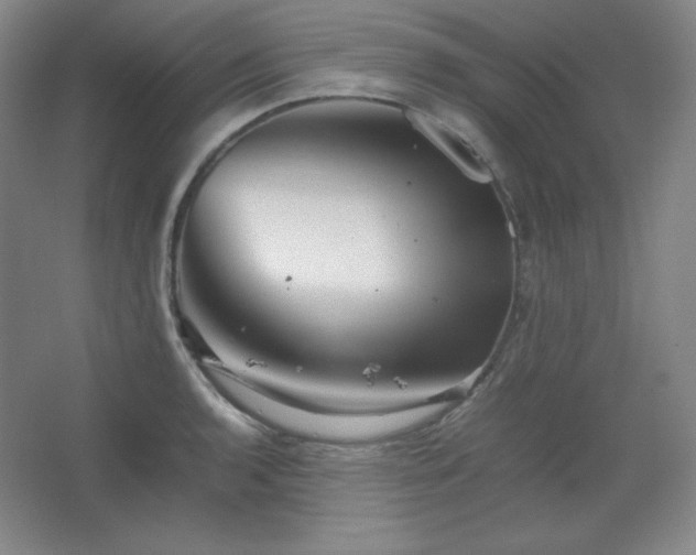 X0000067461136200604071121