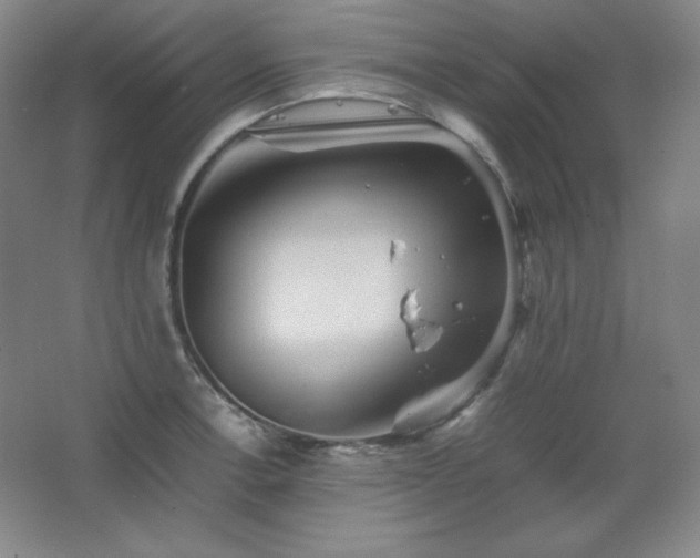 X0000067461138200604071121