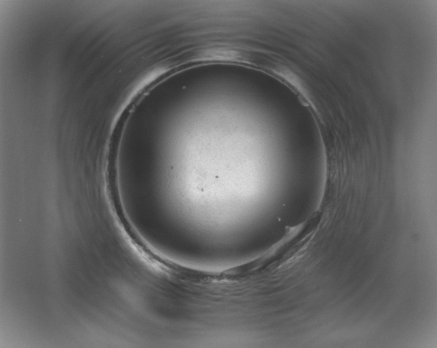 X0000067461139200604071121