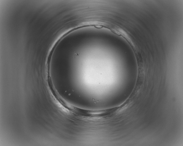 X0000067461140200604071121