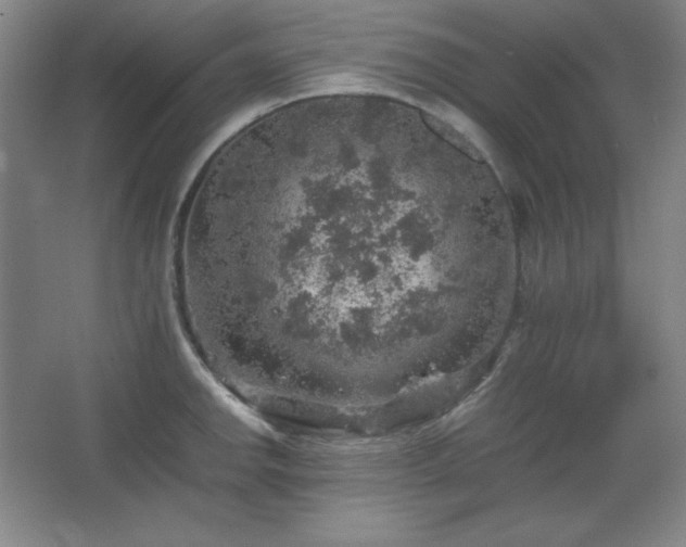 X0000067461142200604071121