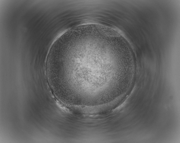 X0000067461145200604071121