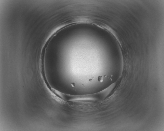 X0000067461147200604071121