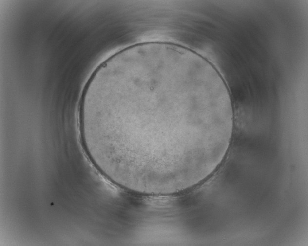 X0000067461150200604071121