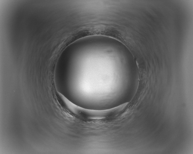 X0000067461153200604071121