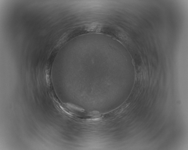 X0000067461154200604071121