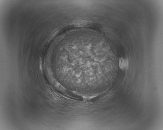 X0000067461155200604071121