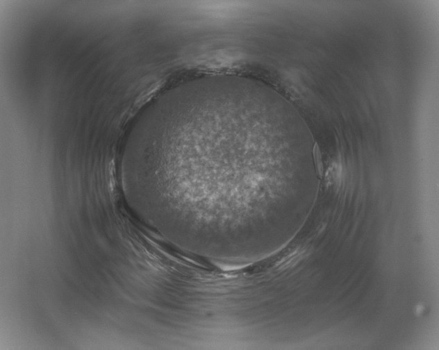 X0000067461156200604071121