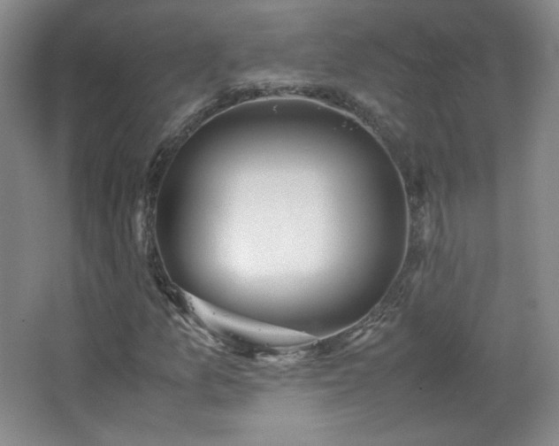 X0000067461157200604071121