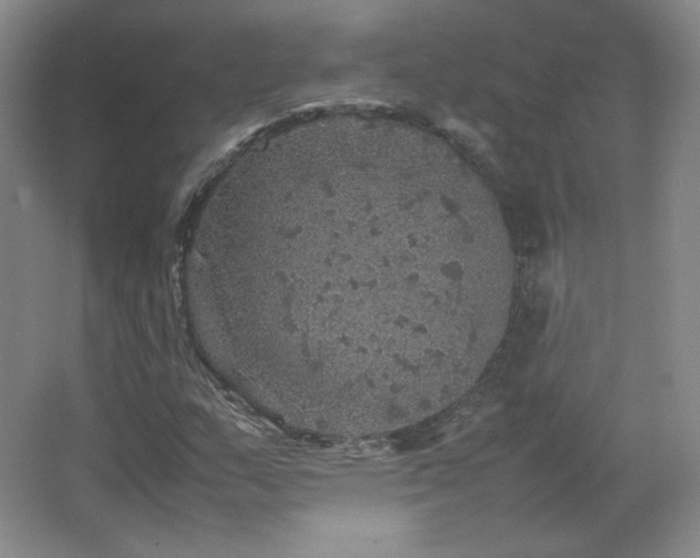 X0000067461159200604071121