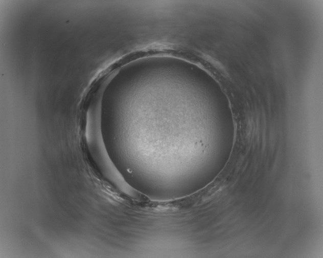 X0000067461160200604071120